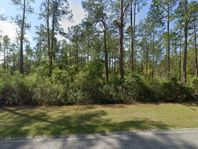 House image located at Georgetown, FL 32139