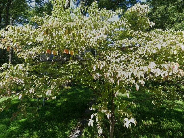 House image located at Saugerties, NY 12477