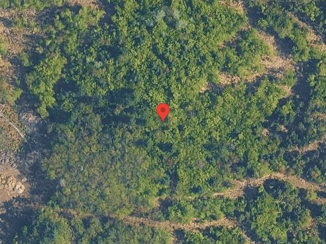 House image located at Mount Sidney, VA 24467