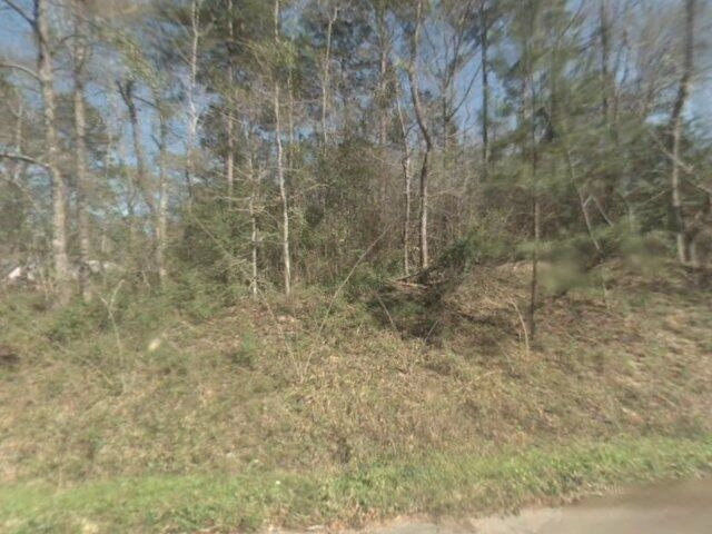 House image located at Willis, TX 77378