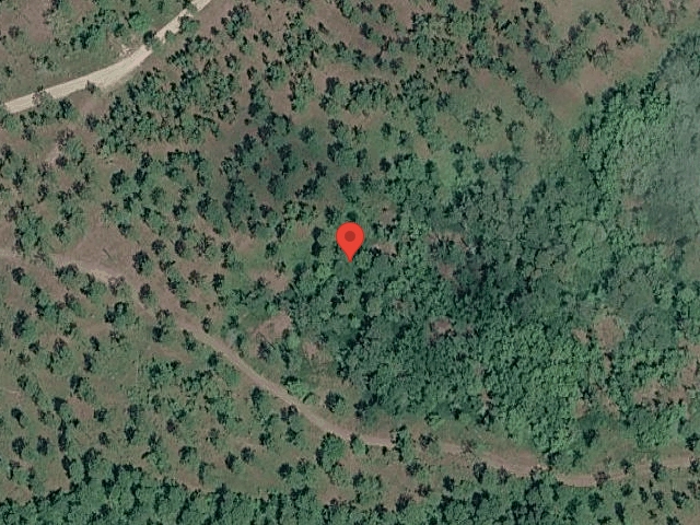 House image located at Ruther Glen, VA 22546