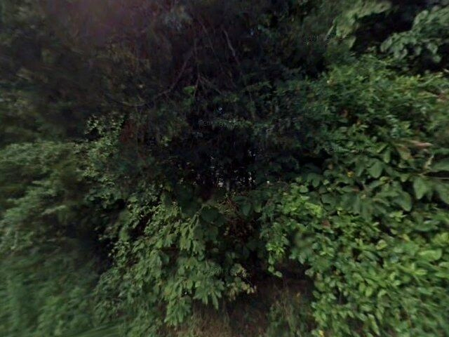 House image located at Brandenburg, KY 40108