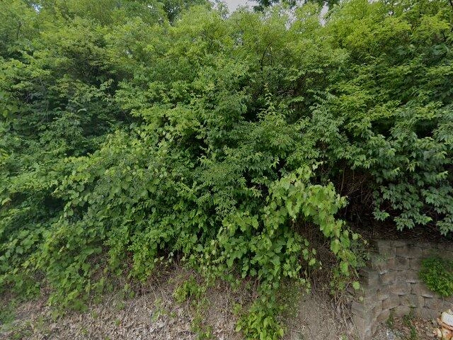 House image located at Cincinnati, OH 45239