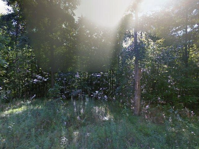 House image located at Liverpool, NY 13088