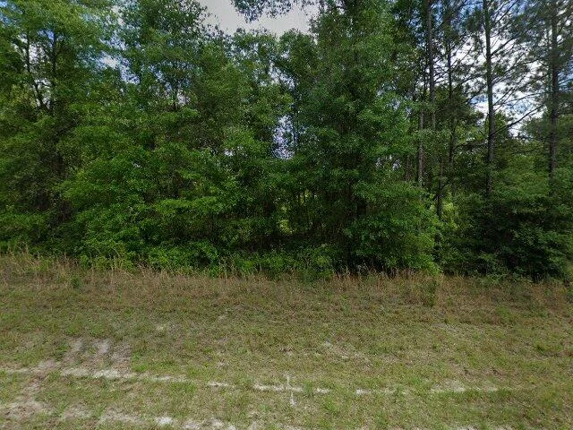 House image located at Fort White, FL 32038