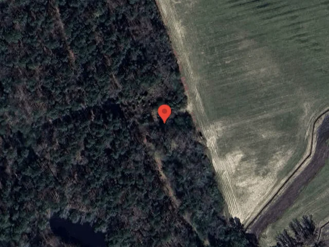 House image located at Wallace, NC 28466