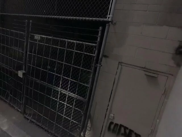 House image located at Ririe, ID 83443