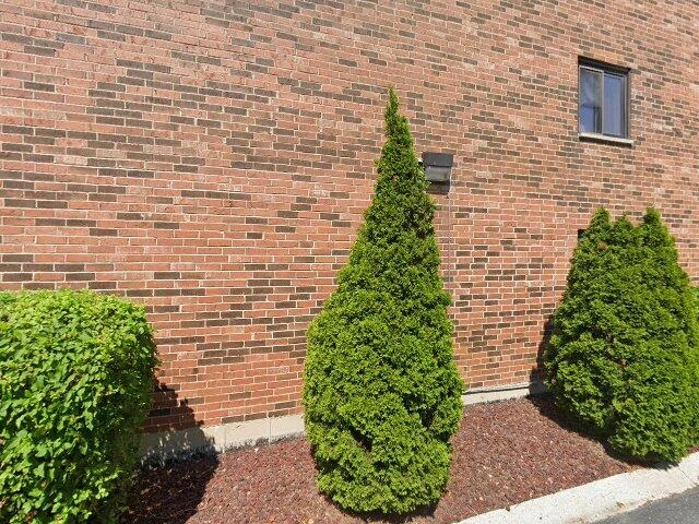 House image located at Mount Prospect, IL 60056