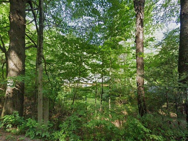 House image located at Chichester, NY 12416