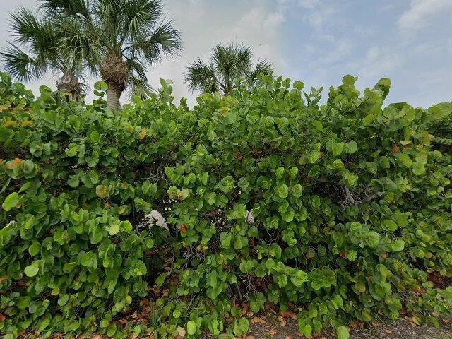 House image located at Placida, FL 33946