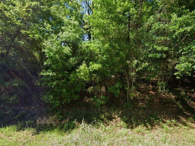 House image located at Middleburg, FL 32068