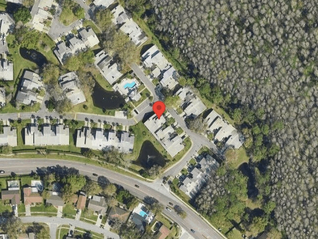 House image located at Tampa, FL 33624