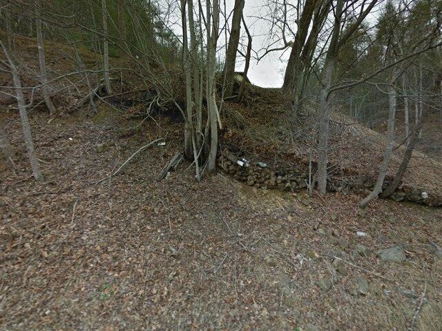 House image located at Hartford, TN 37753