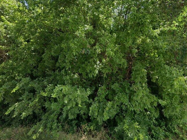 House image located at Garland, TX 75043