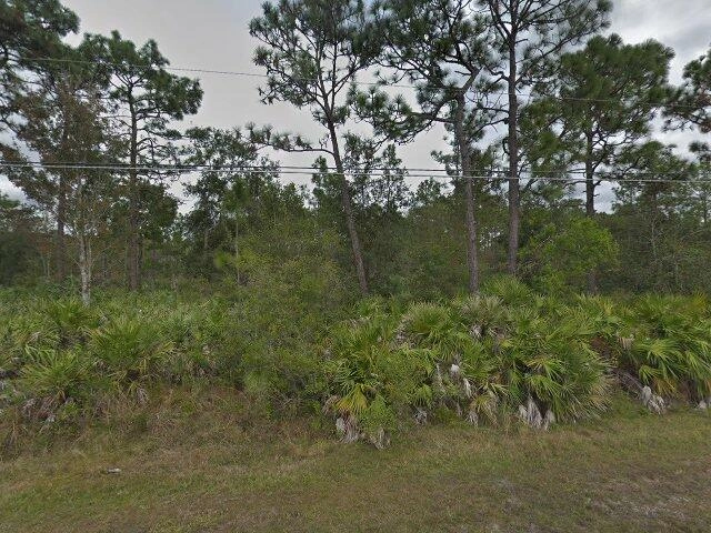 House image located at Orlando, FL 32833