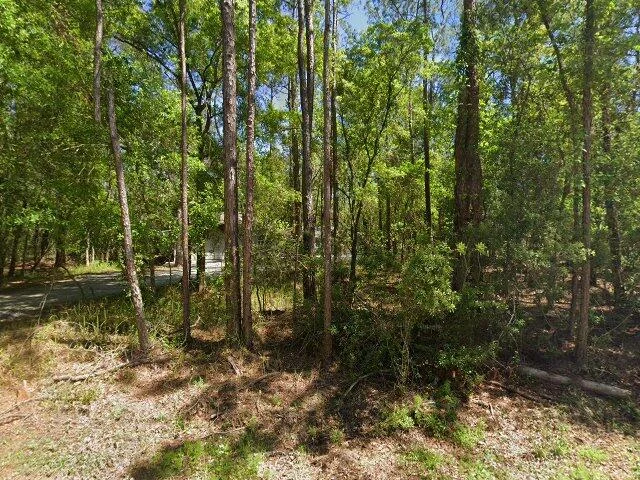 House image located at Wesley Chapel, FL 33544