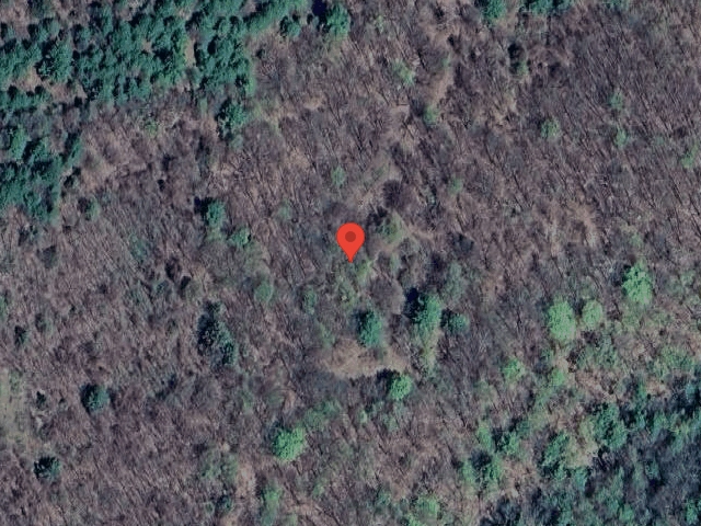 House image located at Cornwallville, NY 12418