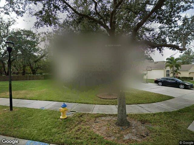 House image located at Riverview, FL 33578