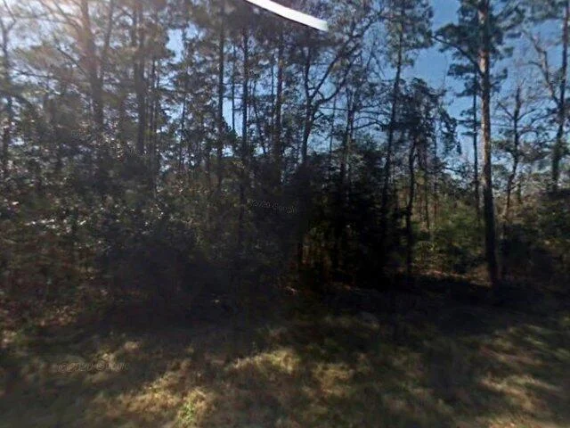 House image located at Willis, TX 77378