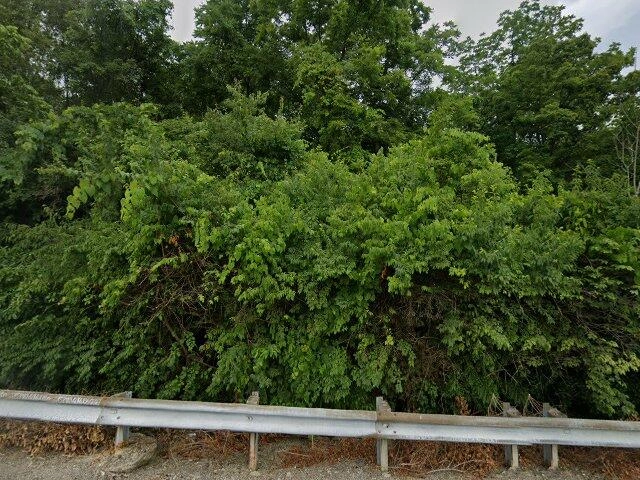 House image located at Cincinnati, OH 45211