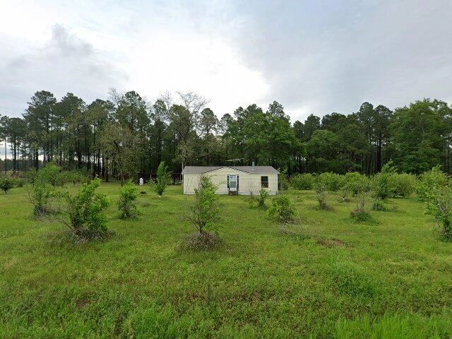 House image located at Hartsfield, GA 31756