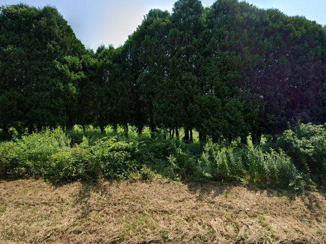 House image located at Plainfield, CT 06374