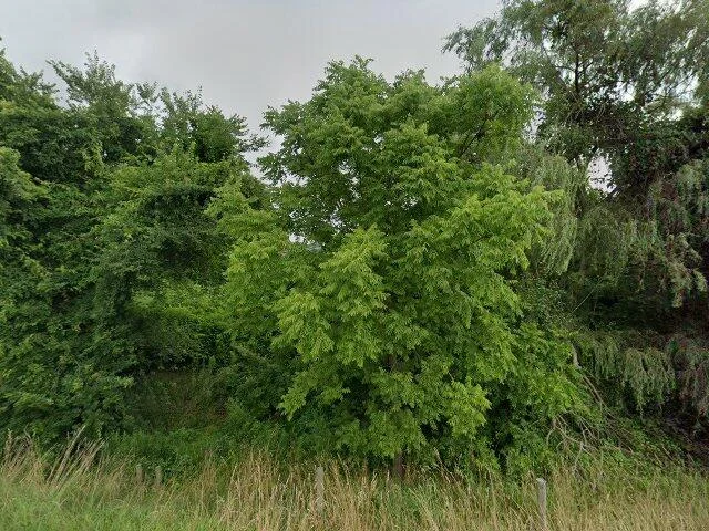 House image located at Adamsville, OH 43802