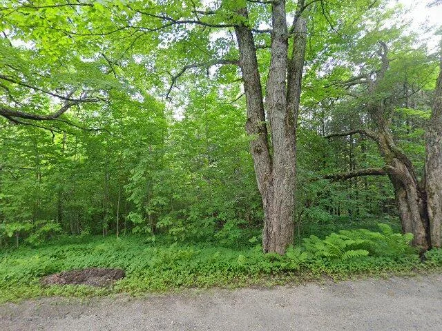 House image located at Sutton, VT 05867