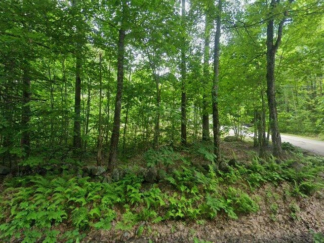 House image located at Hillsborough, NH 03244