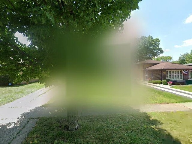 House image located at Dolton, IL 60419