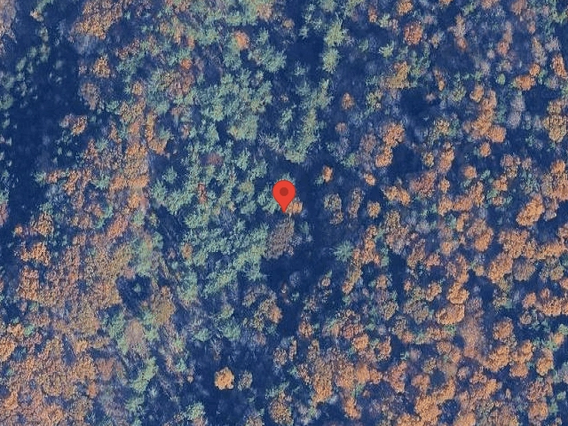 House image located at Orlando, FL 32837