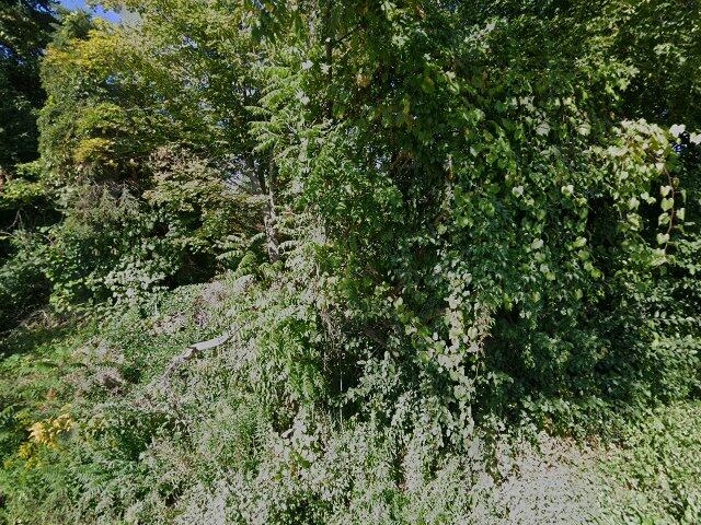 House image located at Syracuse, NY 13215