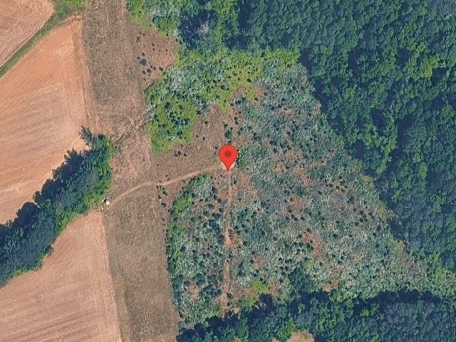 House image located at Castaic, CA 91384