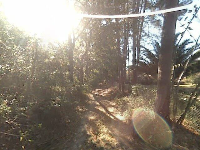 House image located at Tallahassee, FL 32317