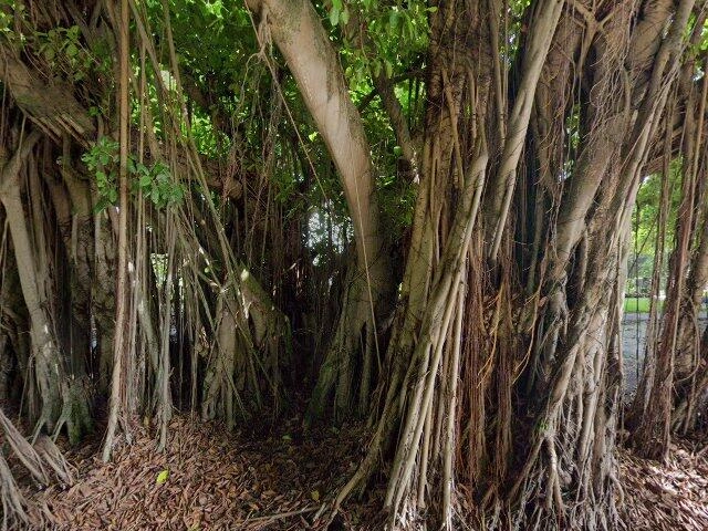 House image located at Crandall, TX 75114
