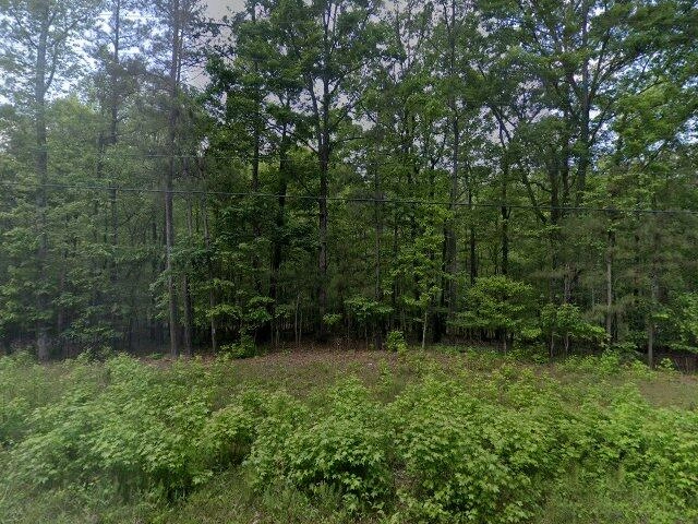 House image located at Palmetto, GA 30268