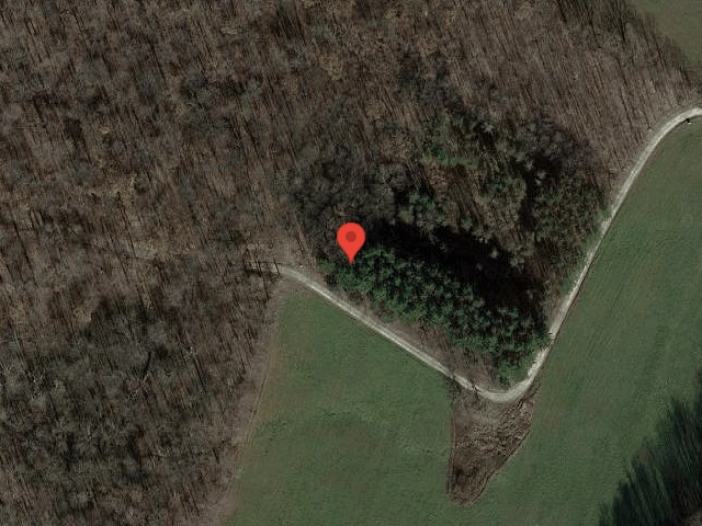 House image located at South Holland, IL 60473