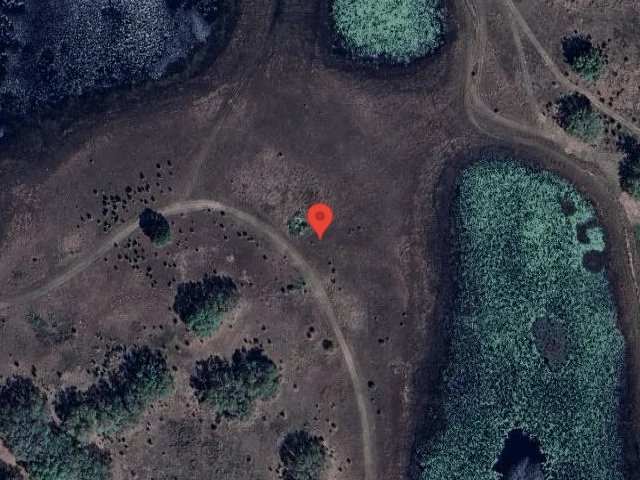 House image located at Howey In The Hills, FL 34737