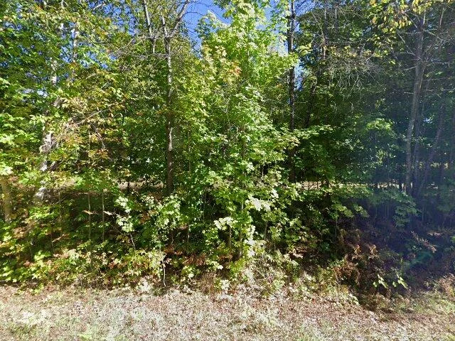 House image located at Harbor Springs, MI 49740