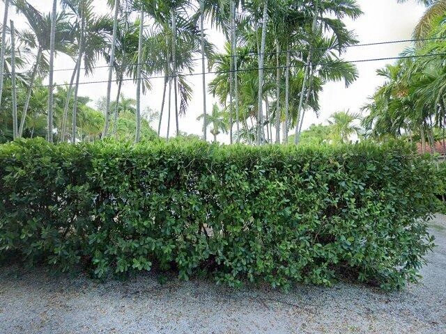 House image located at Miami, FL 33138