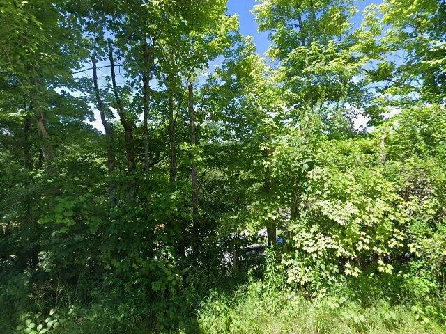 House image located at Afton, NY 13730