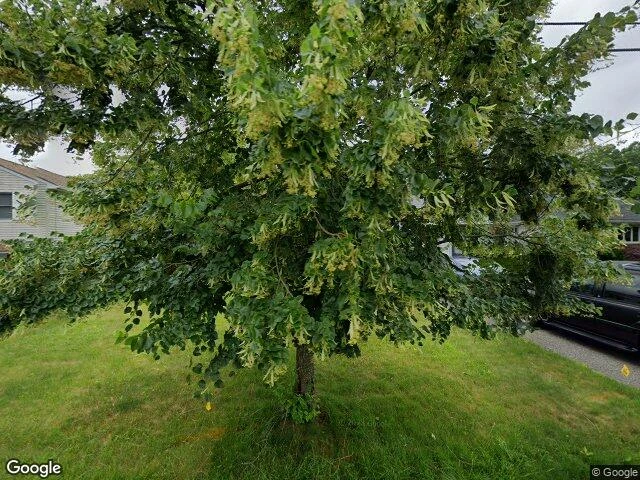 House image located at Rahway, NJ 07065