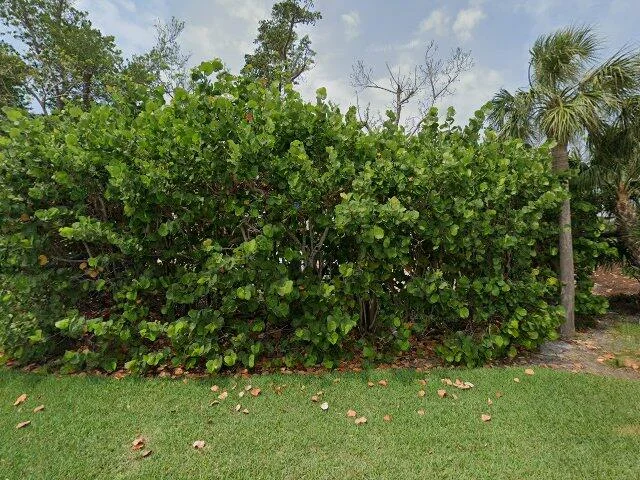 House image located at Placida, FL 33946