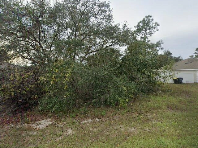 House image located at Kissimmee, FL 34759