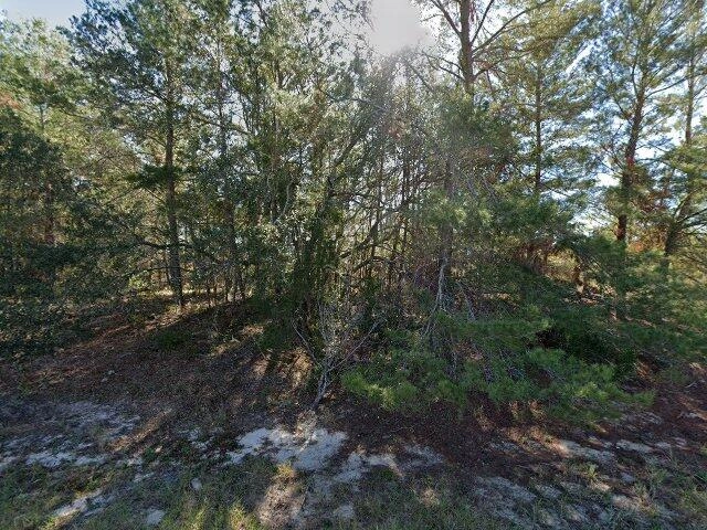 House image located at Kissimmee, FL 34759