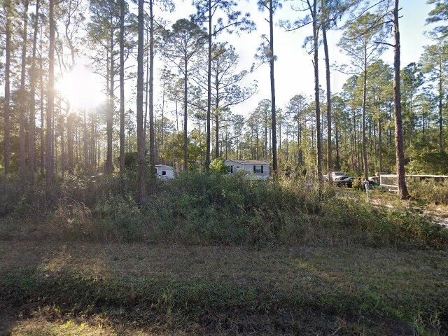 House image located at Hastings, FL 32145