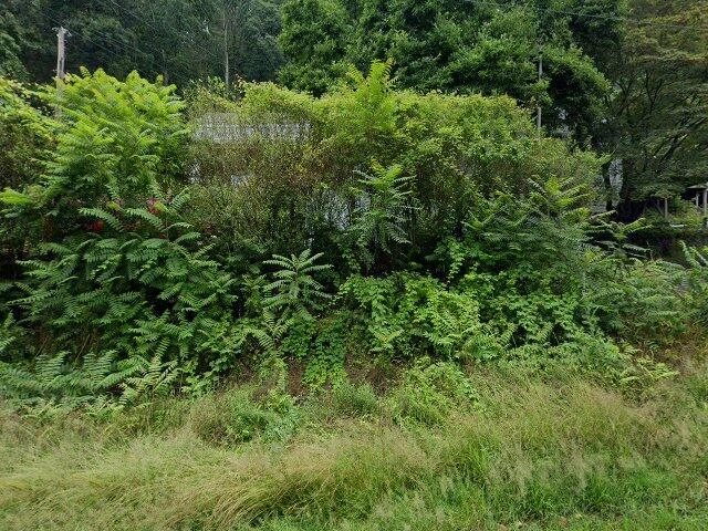 House image located at Amawalk, NY 10501