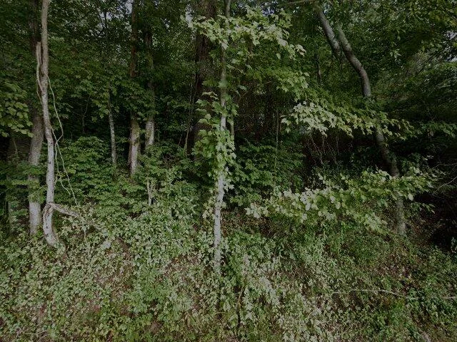 House image located at Woodbine, KY 40771