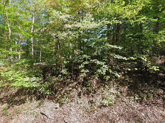 House image located at Rocky Mount, VA 24151