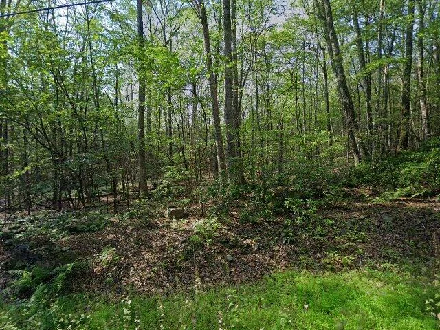 House image located at Wurtsboro, NY 12790